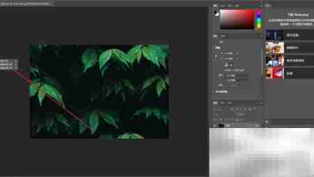 PS橡皮擦工具使用技巧