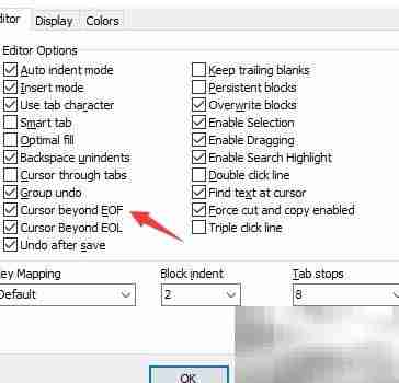 DzSoft PHP Editor关闭光标越界