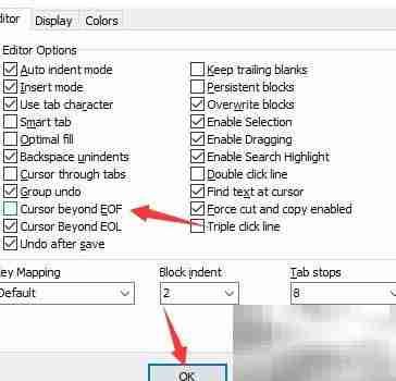 DzSoft PHP Editor关闭光标越界