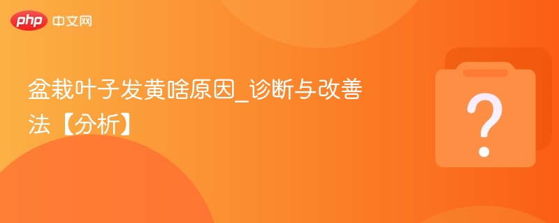 盆栽叶子发黄怎么办？原因与解决方法
