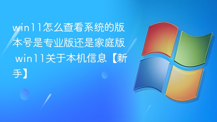 Win11版本怎么查？专业版还是家庭版？