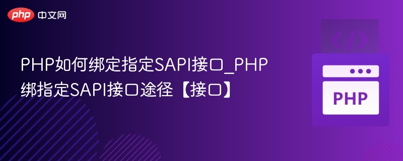 PHP调用SAPI接口实战教程