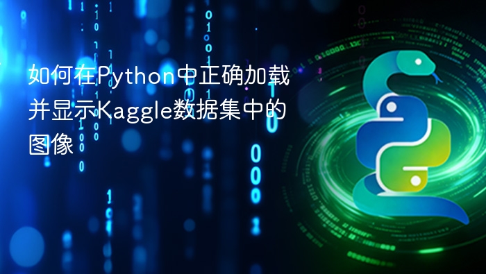 Python正确加载Kaggle图像数据集教程