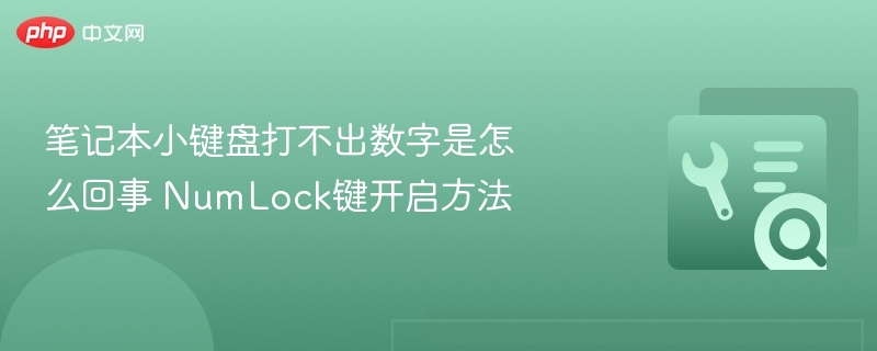 小键盘数字失效？NumLock开启方法详解