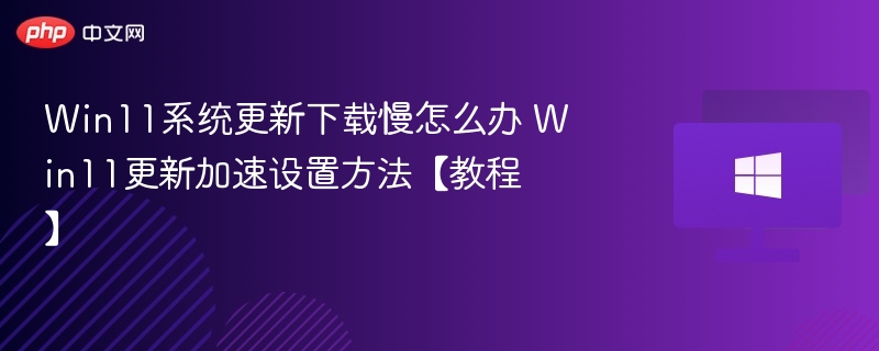 Win11更新慢怎么解决？加速设置教程