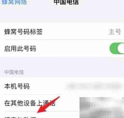 iPhone 13 Pro Max开启5G教程