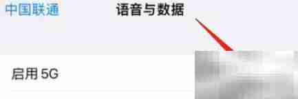 iPhone 13 Pro Max开启5G教程