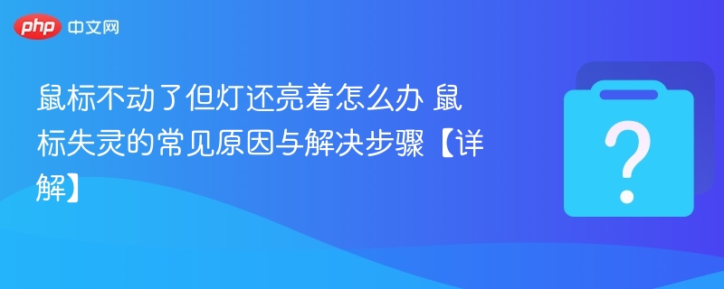 鼠标不动了但灯还亮着怎么办 鼠标失灵的常见原因与解决步骤【详解】