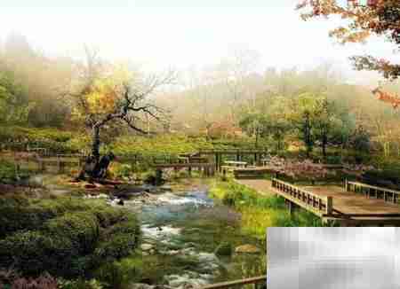 园林设计与施工融合之道