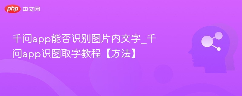 千问APP支持图片文字识别功能