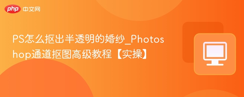 PS抠出半透明婚纱教程｜通道抠图实操教学