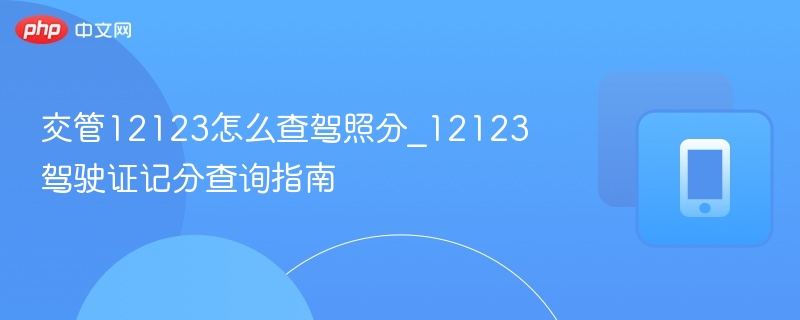 交管12123查驾照分方法详解