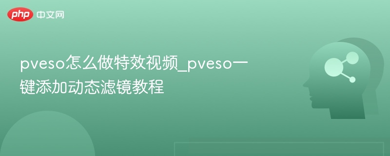 PVEso特效制作教程：一键添加动态滤镜