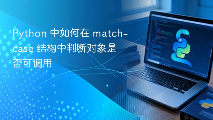 Python 中如何在 match-case 结构中判断对象是否可调用
