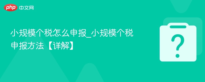 小规模个税怎么申报？详解申报方法