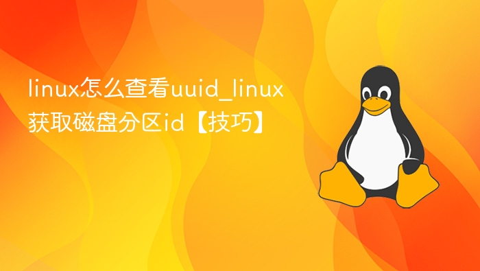 linux怎么查看uuid_linux获取磁盘分区id【技巧】