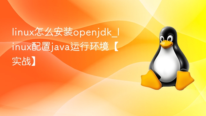 Linux安装OpenJDK及Java环境配置实战