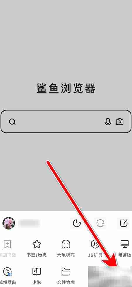 鲨鱼浏览器自动匹配解码器