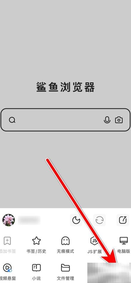 鲨鱼浏览器解码器自动匹配方法