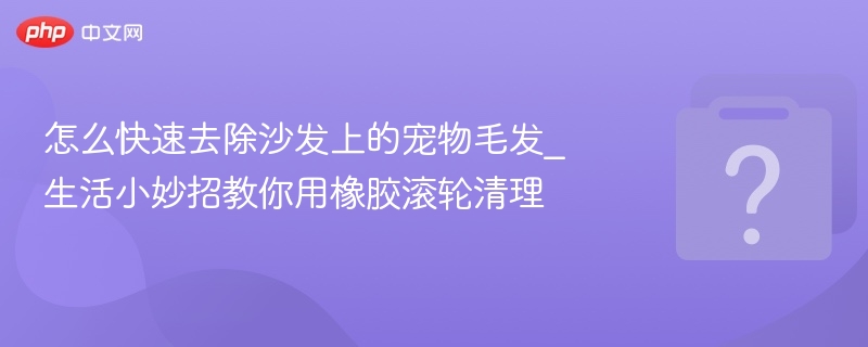 橡胶滚轮去宠物毛发，沙发清洁小妙招
