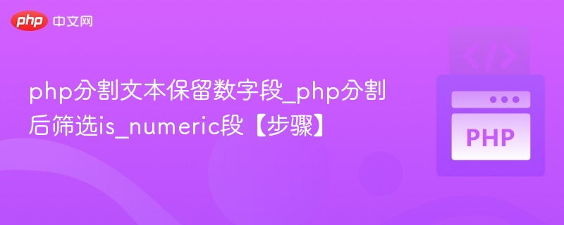 php分割文本保留数字段_php分割后筛选is_numeric段【步骤】