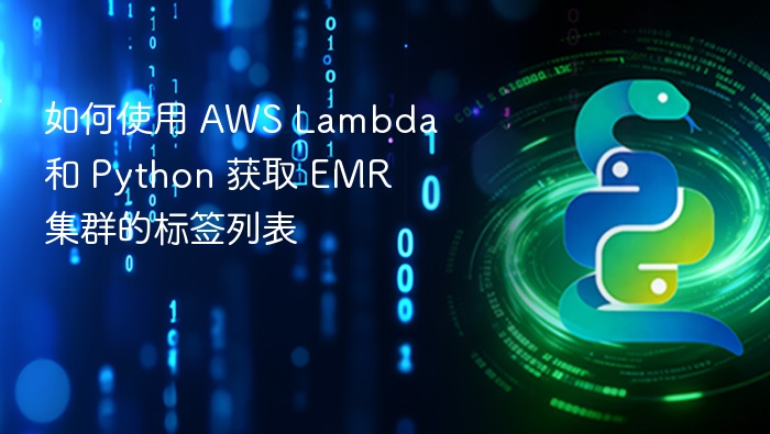 AWS Lambda + Python 获取 EMR 标签方法