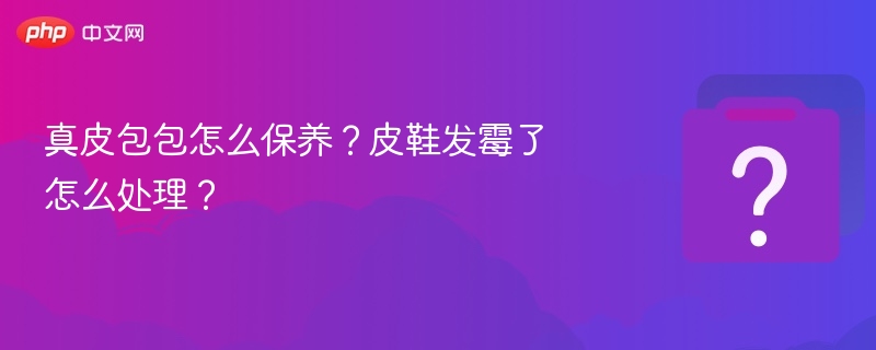 真皮包包保养技巧，皮鞋发霉处理方法