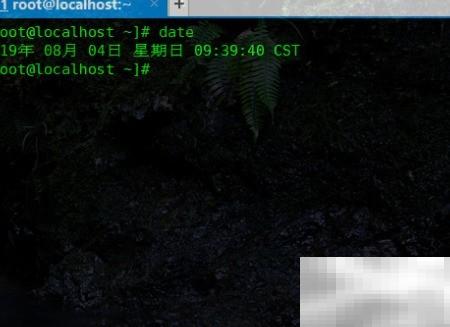 Linux date命令实用教程