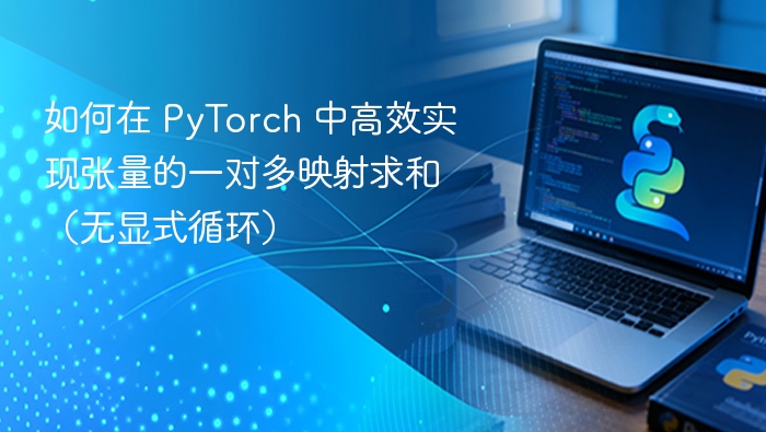 PyTorch 无循环张量多对一求和方法