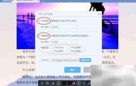 悦书PDF加密方法