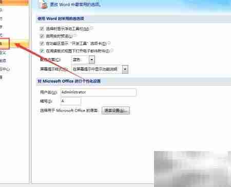 Word即点即输开启方法