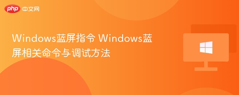 Windows蓝屏命令与调试方法