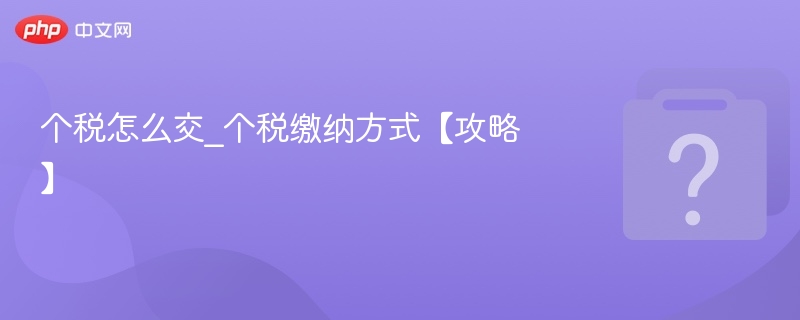 个税怎么交？详细缴纳方法攻略