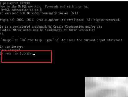 查看表结构SQL语句