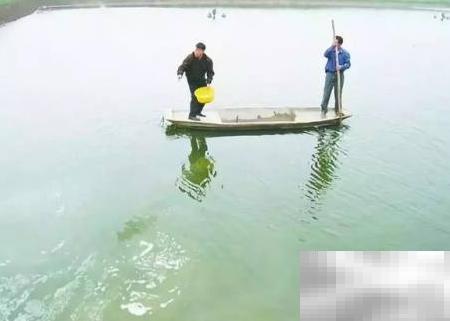 EM菌原液使用技巧与方法详解