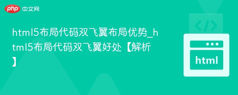 双飞翼布局优势与应用解析