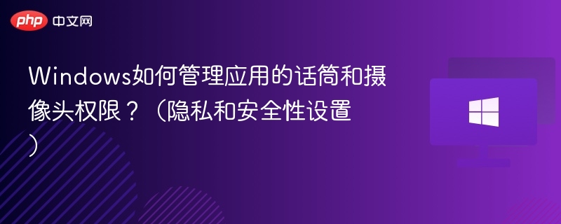 Windows如何管理应用的话筒和摄像头权限？（隐私和安全性设置）