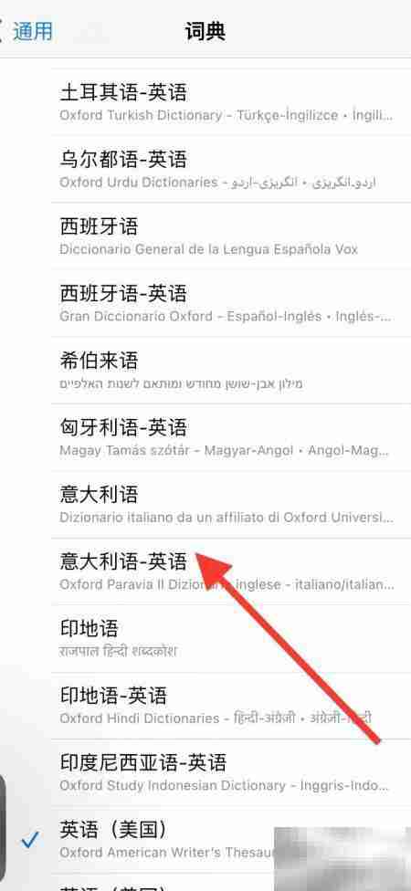 iPhone添加意大利语英语词典