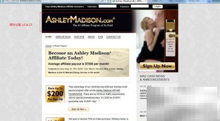 AMD交友联盟注册与使用教程