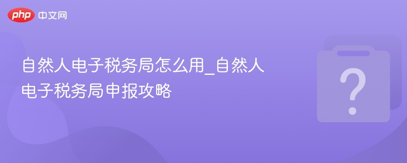 自然人电子税务局怎么用_自然人电子税务局申报攻略