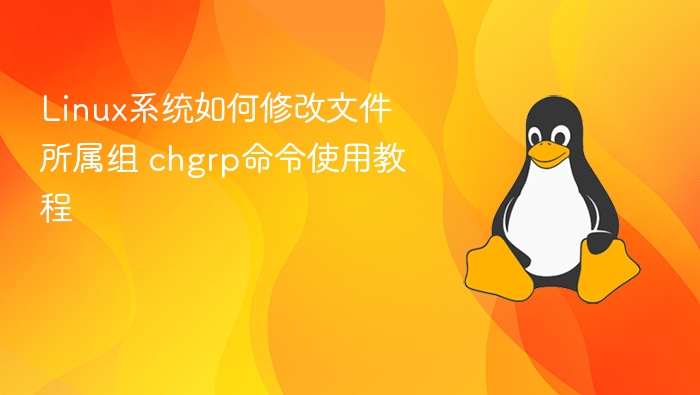 Linux修改文件所属组方法：chgrp命令使用详解