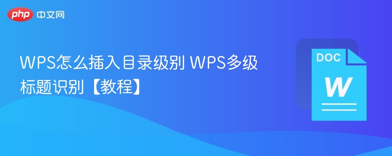 WPS怎么插入目录级别 WPS多级标题识别【教程】