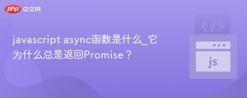 javascript async函数是什么_它为什么总是返回Promise？