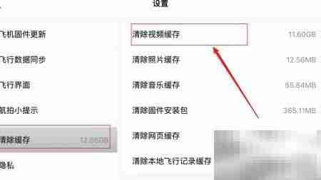 DJI Fly删除视频缓存方法
