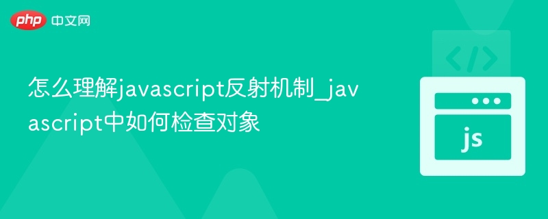 JavaScript反射机制与对象检测详解