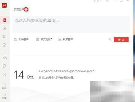 有道词典能翻译葡萄牙语吗