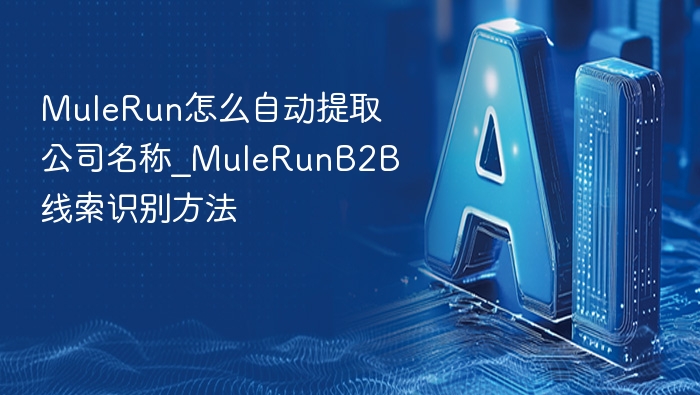 MuleRun如何自动识别公司名