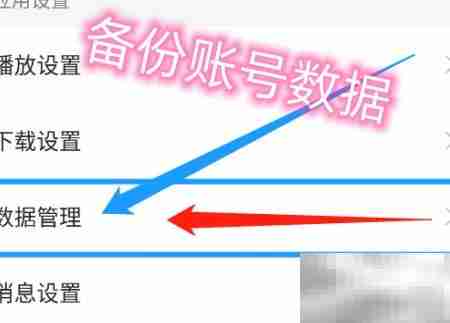 懒人畅听账号数据备份方法