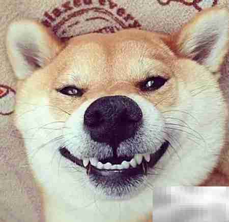 速写入门：我能做什么？