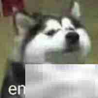 速写入门：我能做什么？